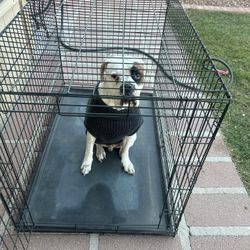 Dog Crate Kennel Extra Large 48” X 30” X 32”