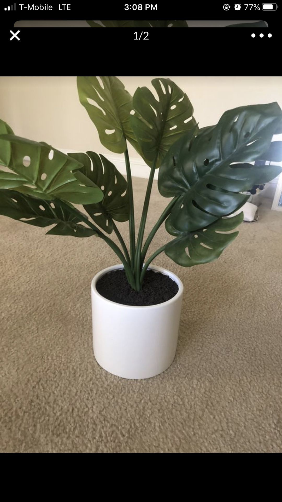 Faux Target Plant