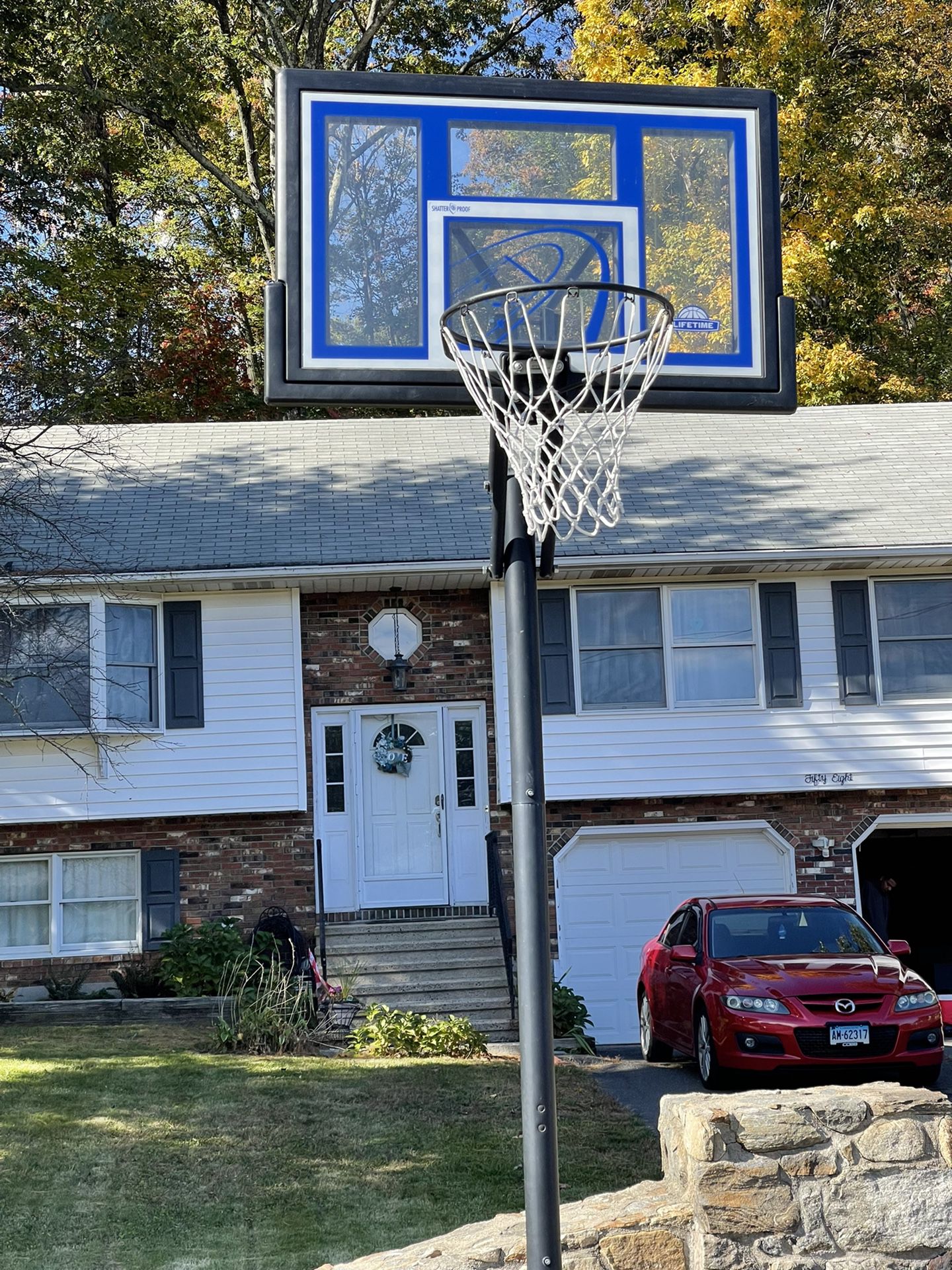 Basketball Hoop Lifetime