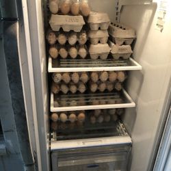 Eggs Fresh Daily 4$