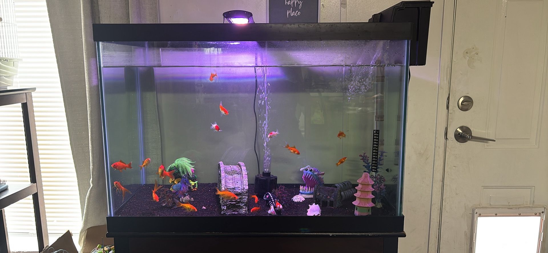 65 Gallons Fish Tank With Filter And Sponge Filter