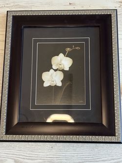 Framed Orchid Art Print 14x16