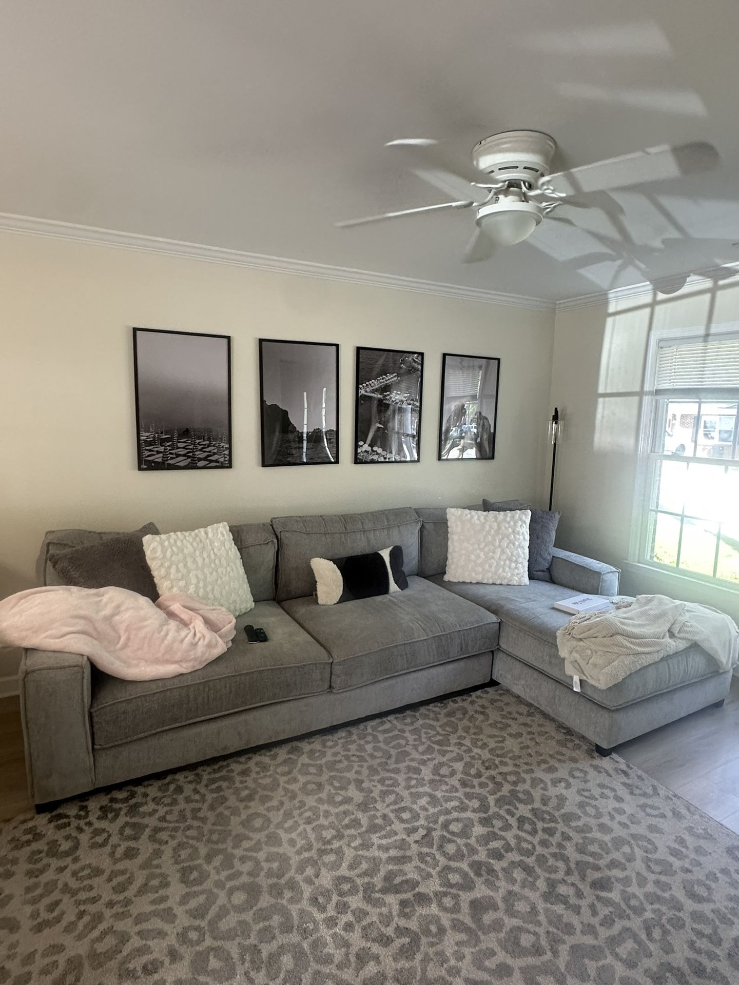 Gray Sectional Couch For Sale