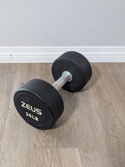 30LB ZEUS Brand Dumbbell