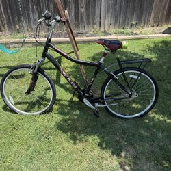  Specialized Expedition Bike 