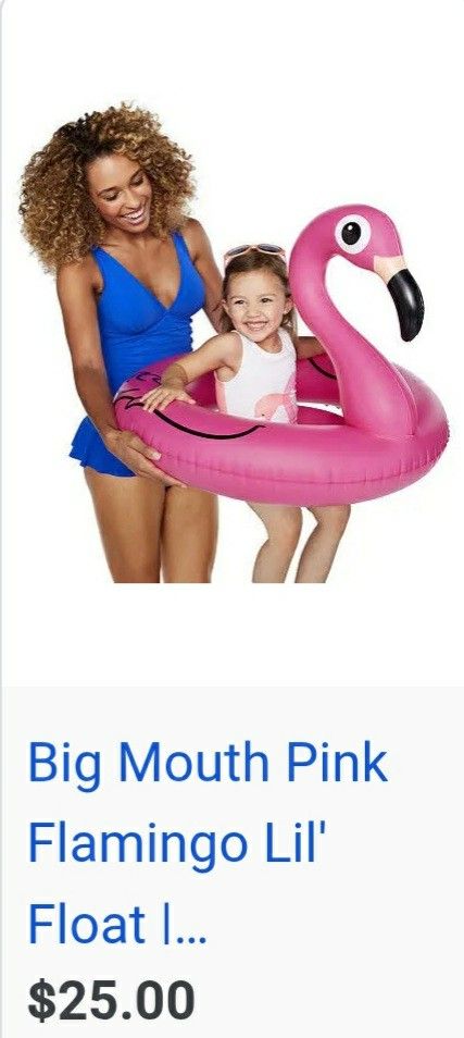 Flamingo Lil' Float + Green Arm Bands/Water Wings!