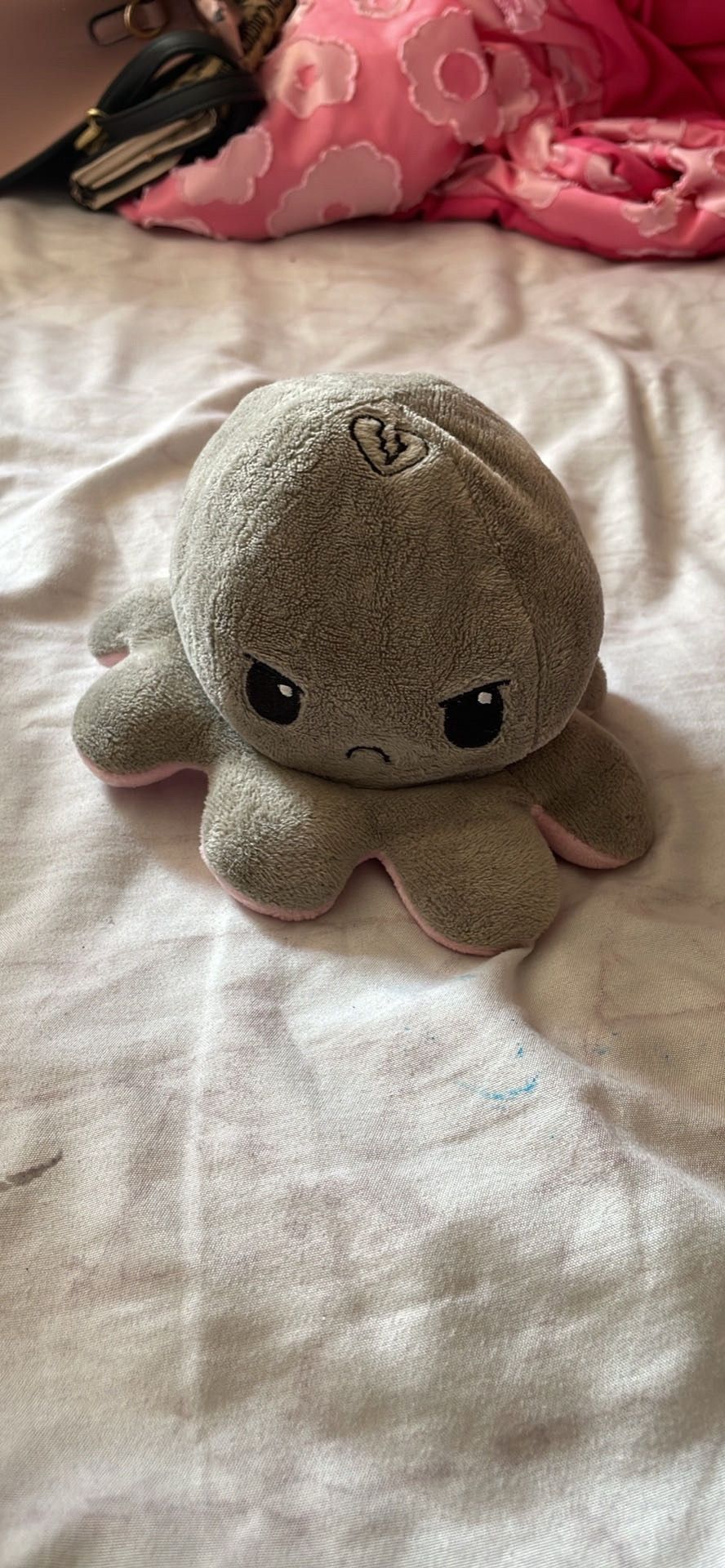 Octopus Changing Mood