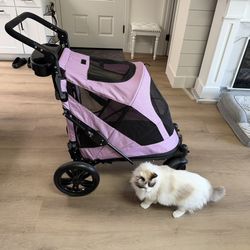 Pet Gear Excursion Pet Stroller, No Zip, Push Buttons Dual Entry from The Back Or Front