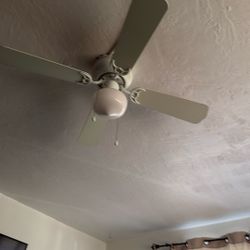Ceiling Fan