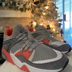 Puma & Staple pigeon Collab Shoe Size 8.5 In Men’s Lamelo