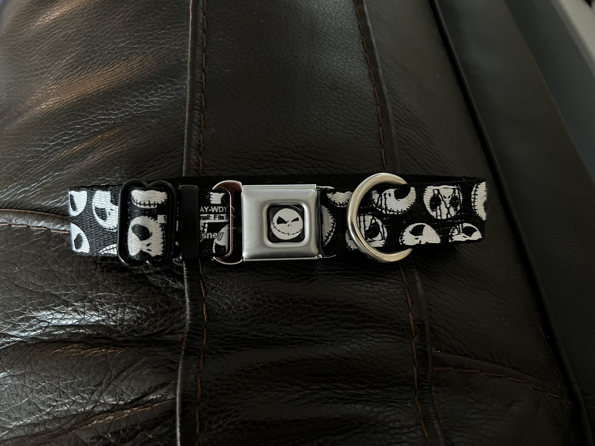 Small Dog Collar