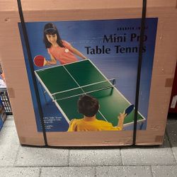 Mini Pro Table Tennis 
