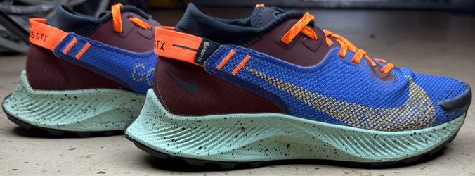 Nike Pegasus Woman’s 8