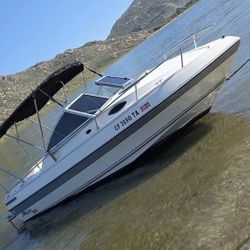 Malibu 185