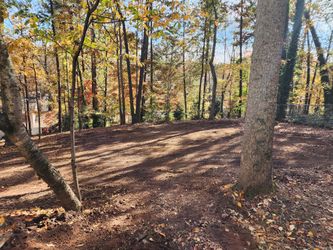 Clearing For The Low 