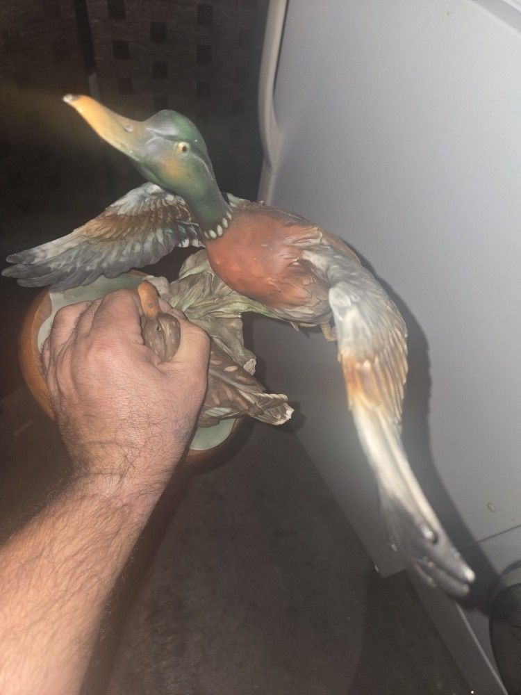 Vintage Dick For Decoration