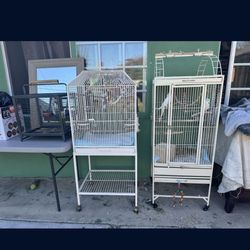 Bird Cages 