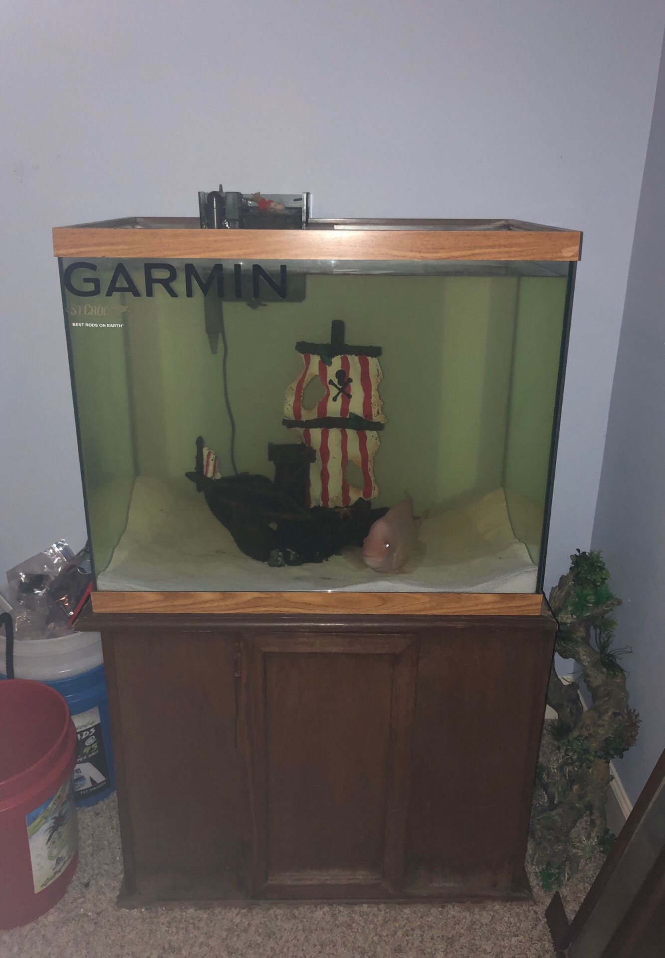 55 gallon fish tank and stand