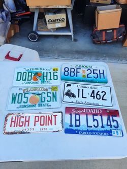 6 License Plates