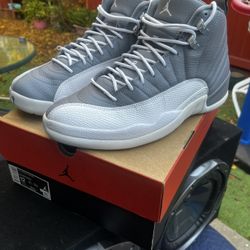 Jordan 12