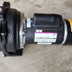 Wayne 2HP WLS200 Garden Pump 240v NEW!