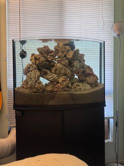 Aquarium