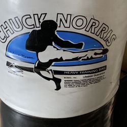 Chuck Norris Punching Bag