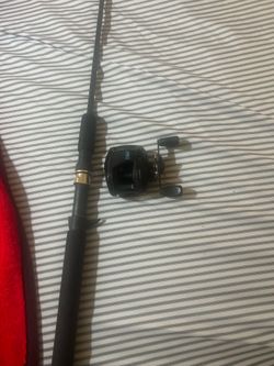 Daiwa vintage bait caster