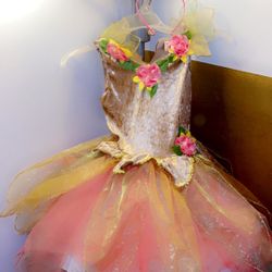 Fairy Princess Costume 