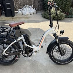 Rad Mini Step Through 