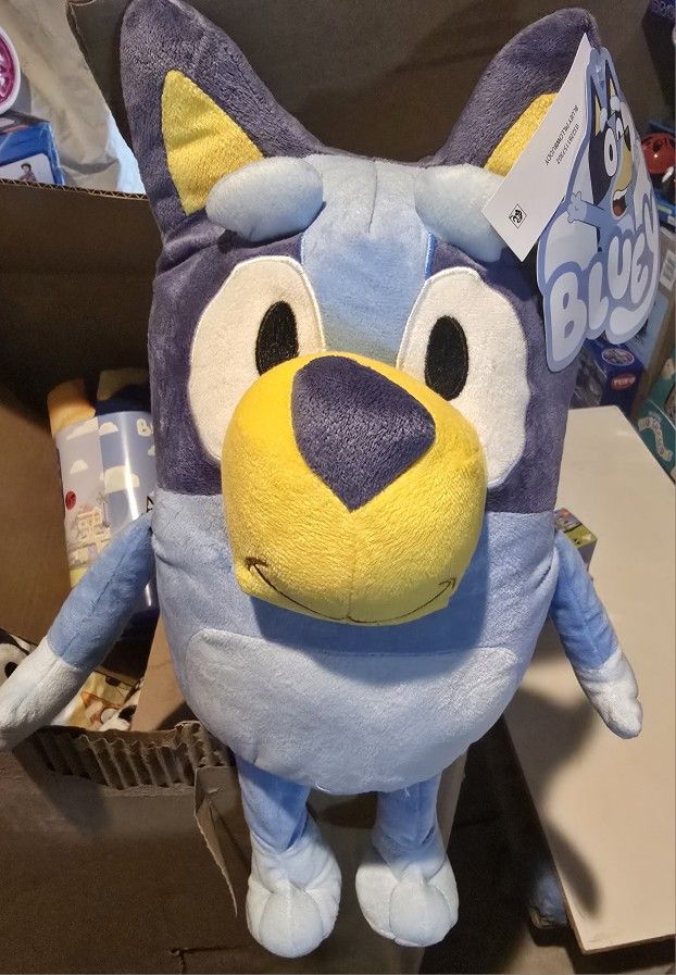 Bluey and Bingo, and bluey Blanket.