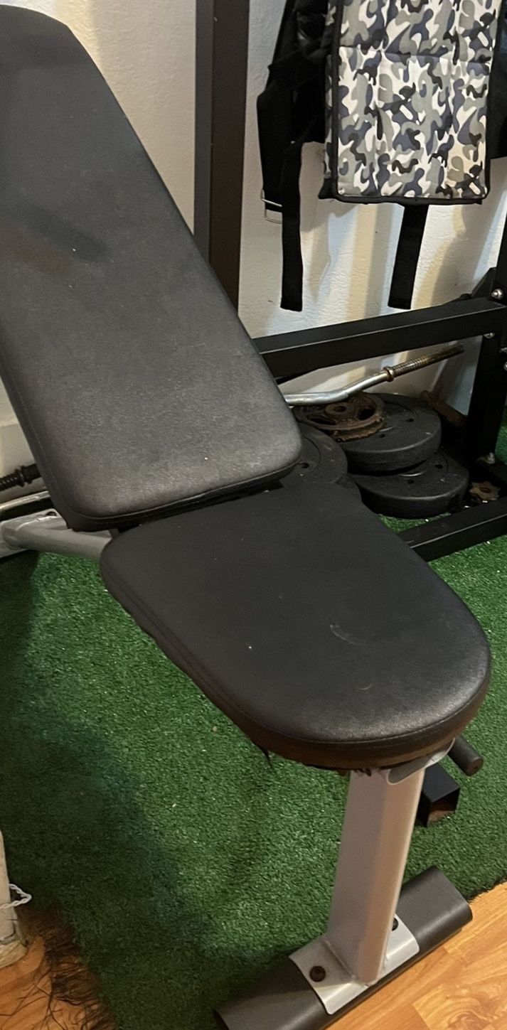 Bench Press With Weight Bar And 10lb Each Side