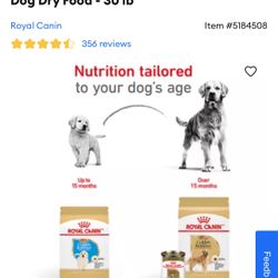 Golden Retriever Food