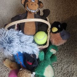 Dog Toys