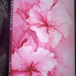 Asus Gaming Monitor 24’ 144hz