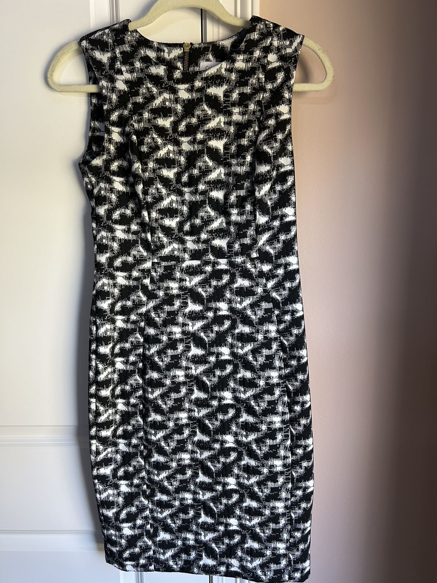 Calvin Klein Women’s Size 6P Dress
