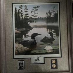 Collectible Wall Decoration