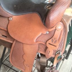 Circle Y Saddle 