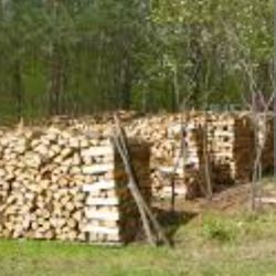 Firewood For Sale 
