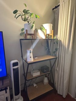 ladder-style etagere shelf planter