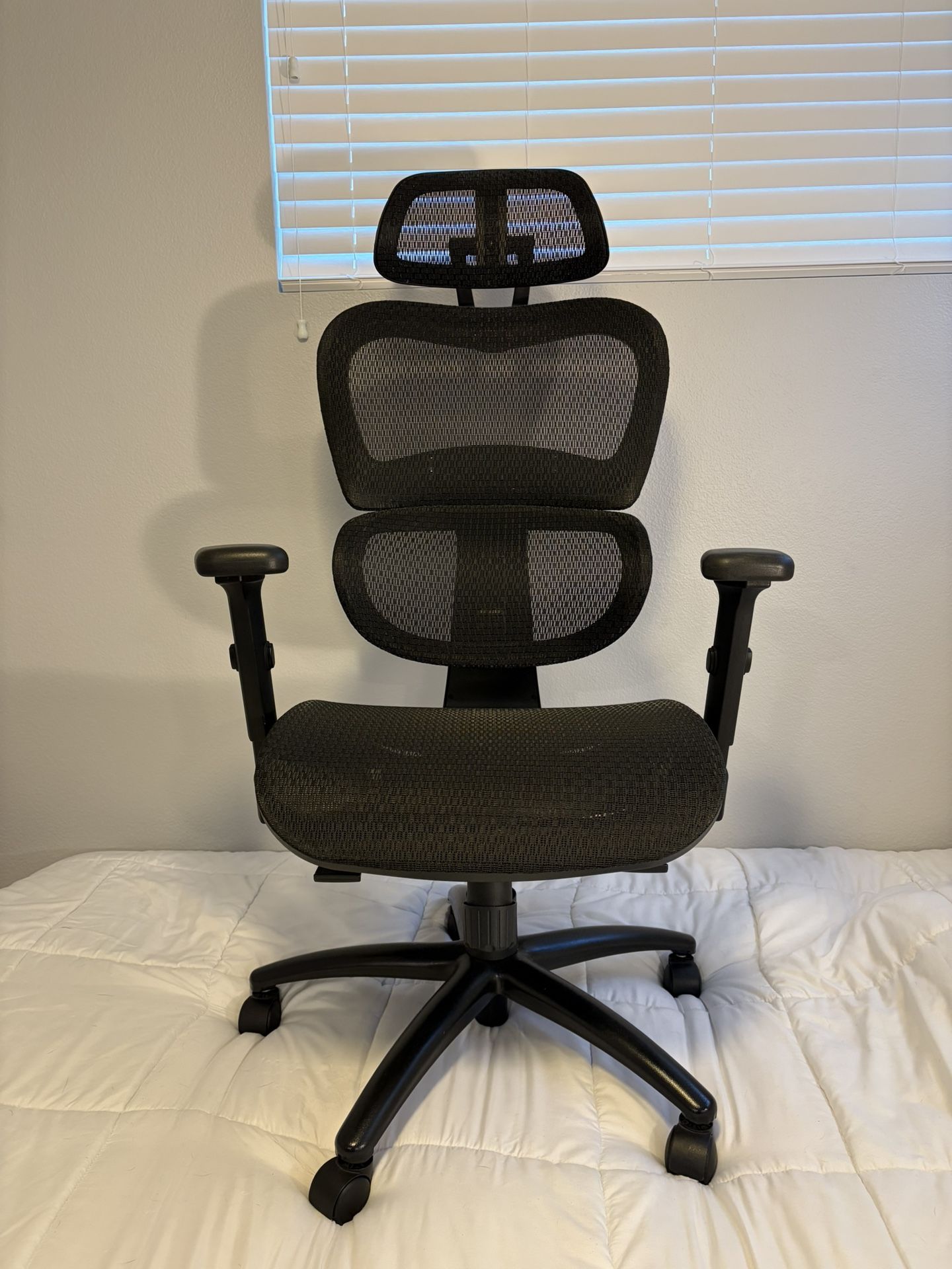 Fancy Ergonomic Office Chair - Like New