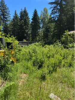 Cut grass