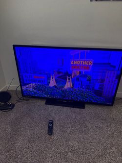 Philips Flat Screen TV with Remote