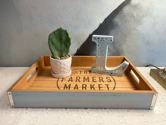 Home Decor Bundle with Live Cactus