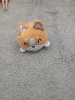 Corgi