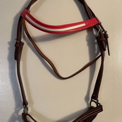 English Show Halter leather with red brow-band, horse size, new 