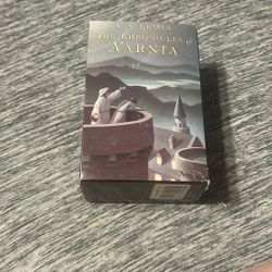 The chronicles of narnia set