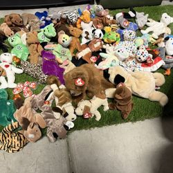 60 Beanie Babies Lot