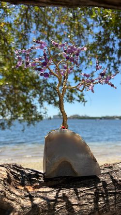 Tree of life