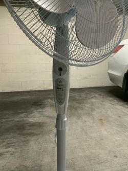 Fan